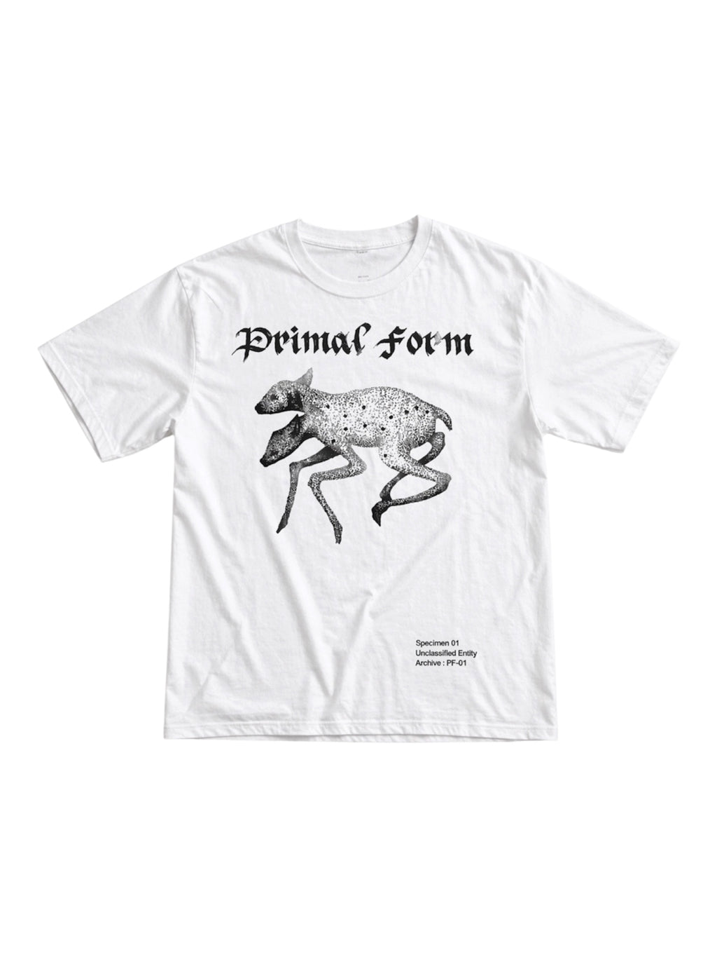 Primal Form: CHAOS